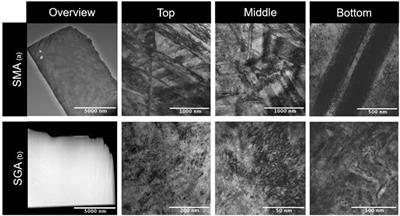 Comparative analysis of process-induced strain glass states in austenitic and martensitic NiTi shape memory alloy plates